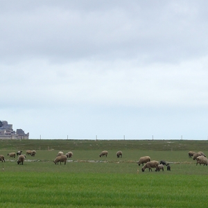 Mont Saint Michel